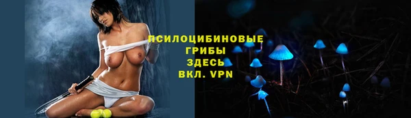 молекула духа Алзамай