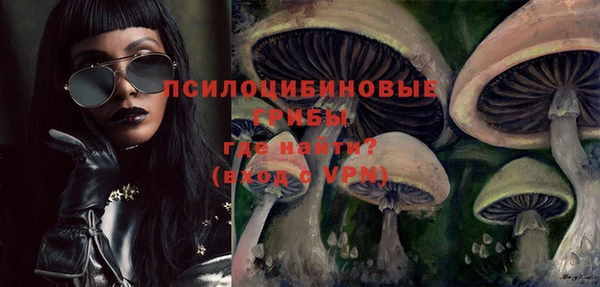 молекула духа Алзамай