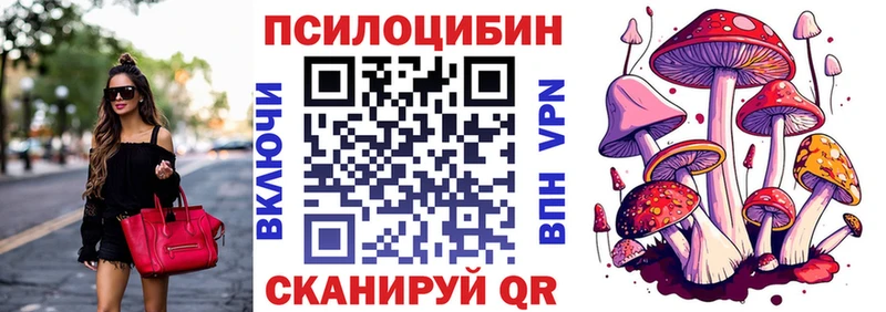 Псилоцибиновые грибы Psilocybine cubensis  Качканар 