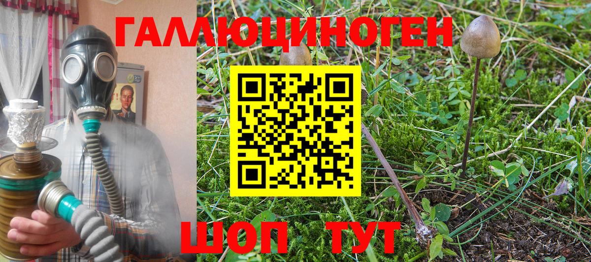 Псилоцибиновые грибы Magic Shrooms  Вход с VPN  Качканар  Псилоцибиновые грибы Magic Shrooms 