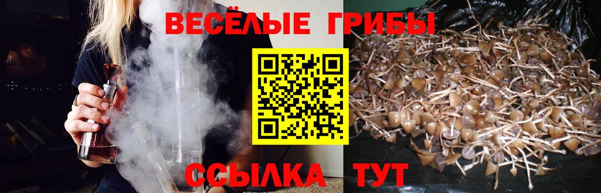 Галлюциногенные грибы Cubensis Качканар