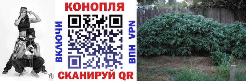 Бошки марихуана OG Kush  Качканар 